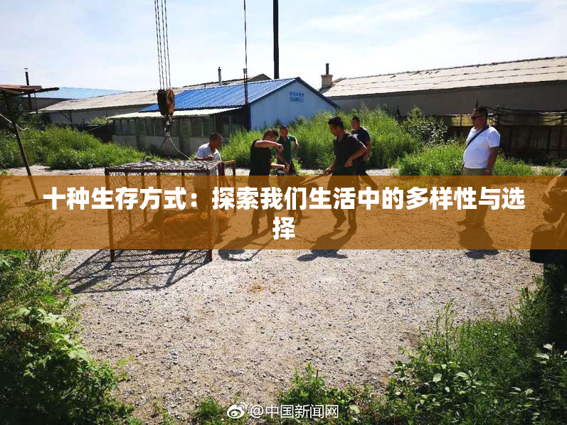 十种生存方式：探索我们生活中的多样性与选择