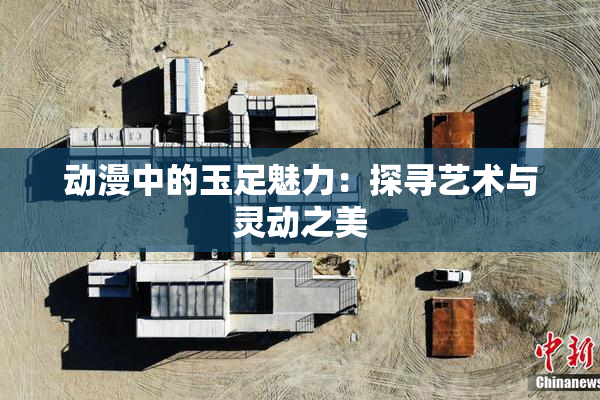动漫中的玉足魅力：探寻艺术与灵动之美