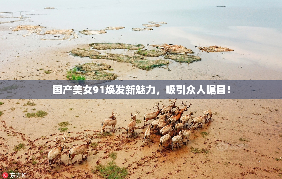 国产美女91焕发新魅力，吸引众人瞩目！