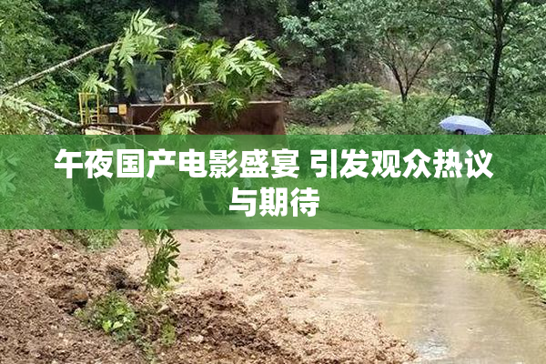 午夜国产电影盛宴 引发观众热议与期待