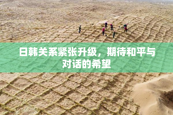 日韩关系紧张升级，期待和平与对话的希望
