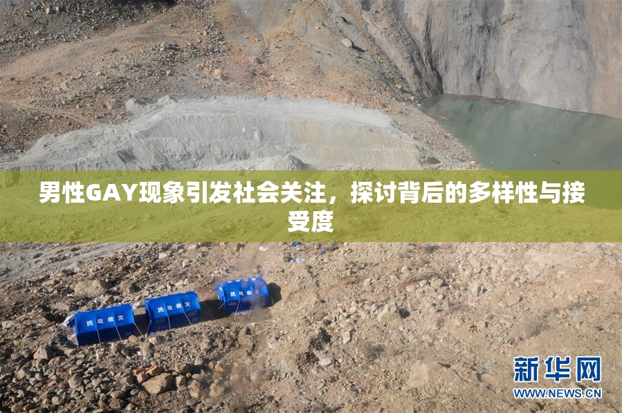 男性GAY现象引发社会关注，探讨背后的多样性与接受度