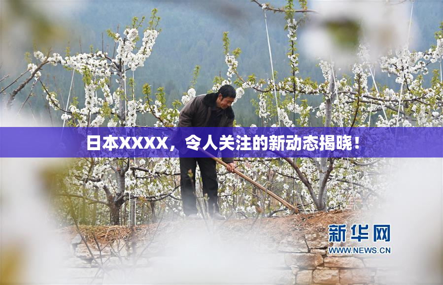 日本XXXX，令人关注的新动态揭晓！