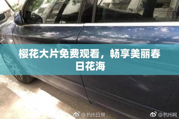 樱花大片免费观看，畅享美丽春日花海
