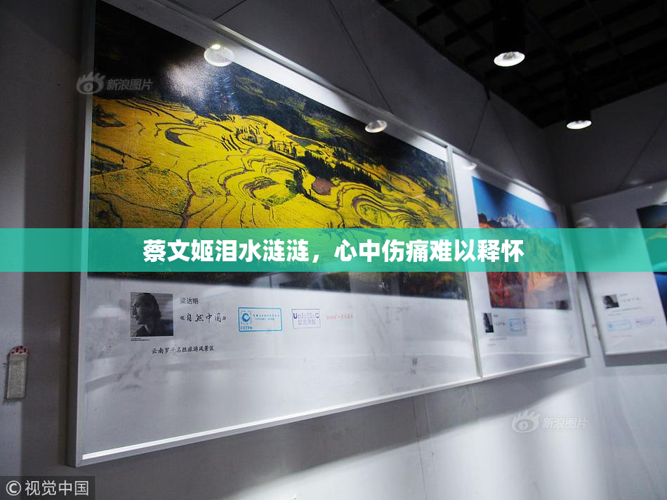 蔡文姬泪水涟涟，心中伤痛难以释怀
