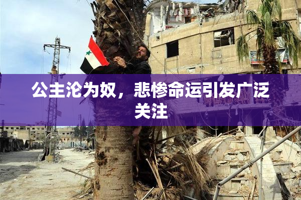 公主沦为奴，悲惨命运引发广泛关注