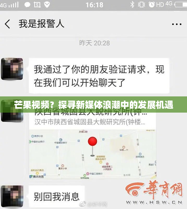 芒果视频？探寻新媒体浪潮中的发展机遇