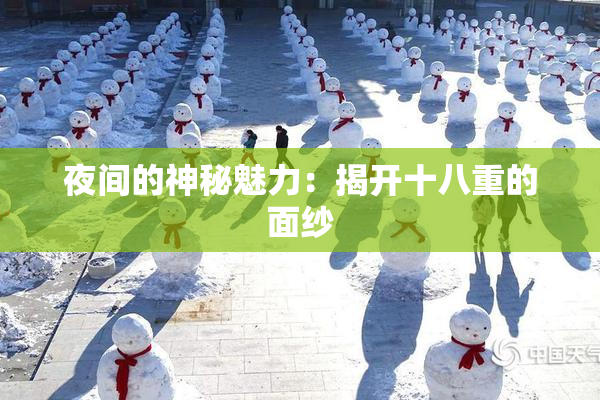 夜间的神秘魅力：揭开十八重的面纱