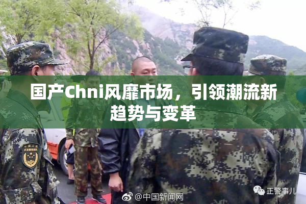 国产Chni风靡市场，引领潮流新趋势与变革