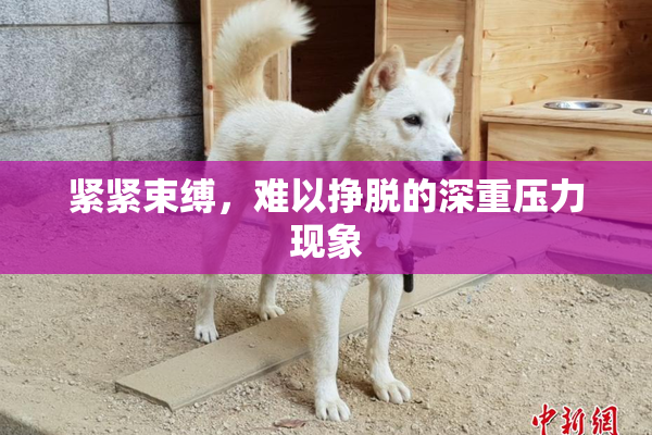 紧紧束缚，难以挣脱的深重压力现象