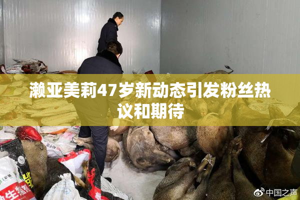 濑亚美莉47岁新动态引发粉丝热议和期待
