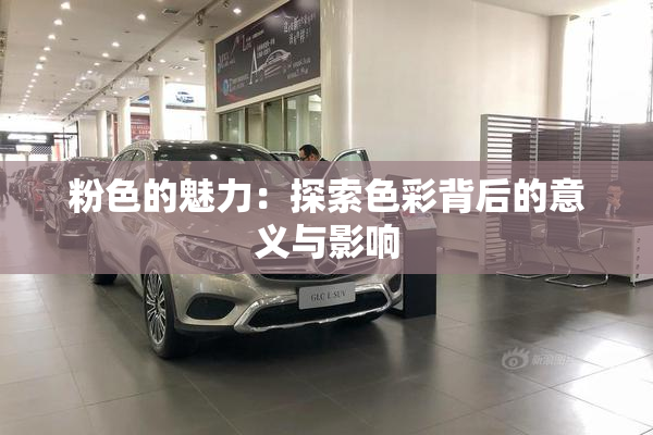 粉色的魅力：探索色彩背后的意义与影响