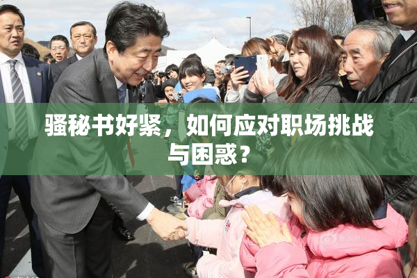 骚秘书好紧，如何应对职场挑战与困惑？