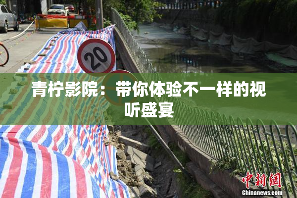 青柠影院：带你体验不一样的视听盛宴