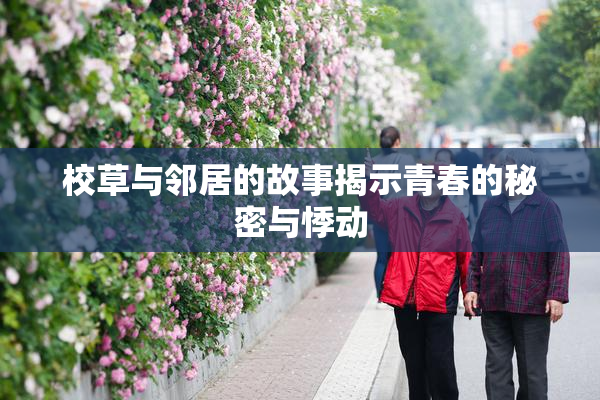 校草与邻居的故事揭示青春的秘密与悸动