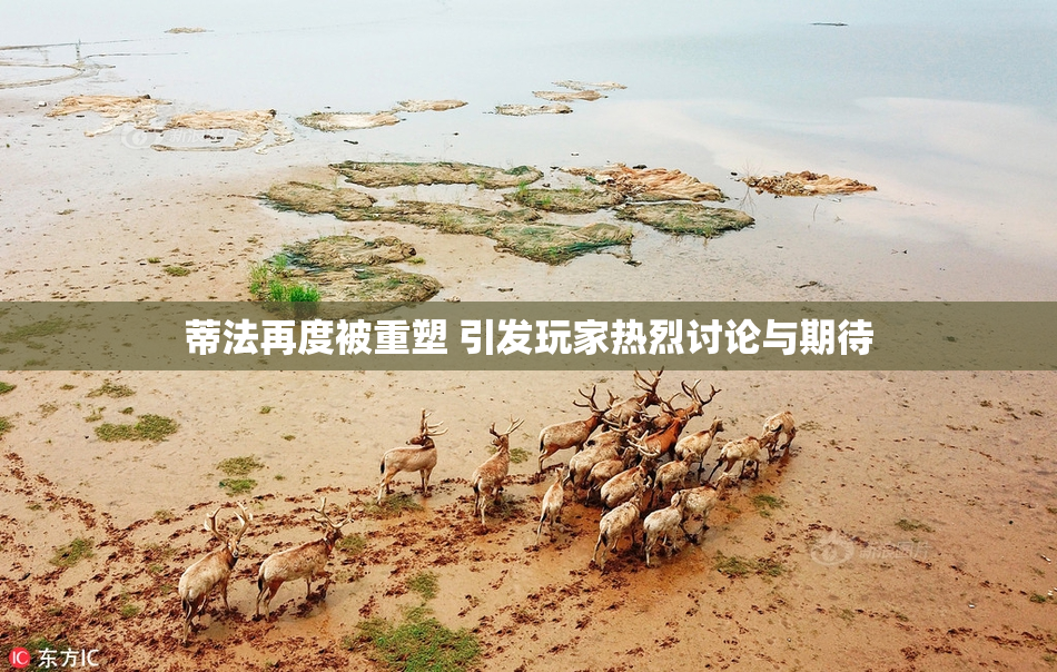 蒂法再度被重塑 引发玩家热烈讨论与期待