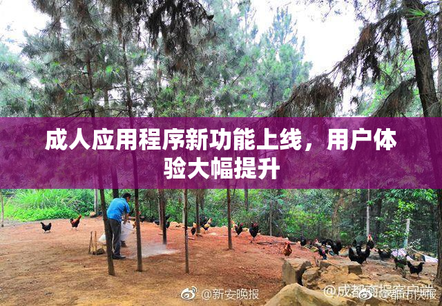 成人应用程序新功能上线，用户体验大幅提升