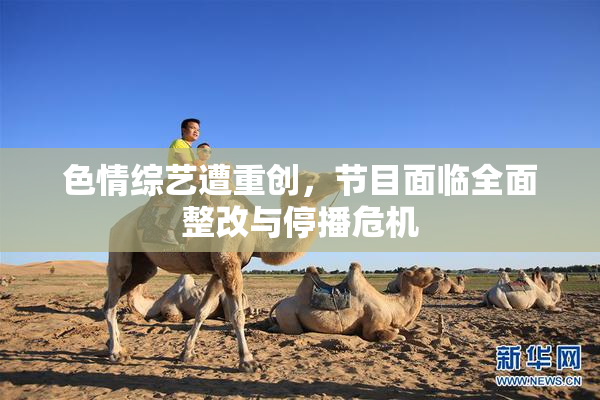 色情综艺遭重创，节目面临全面整改与停播危机