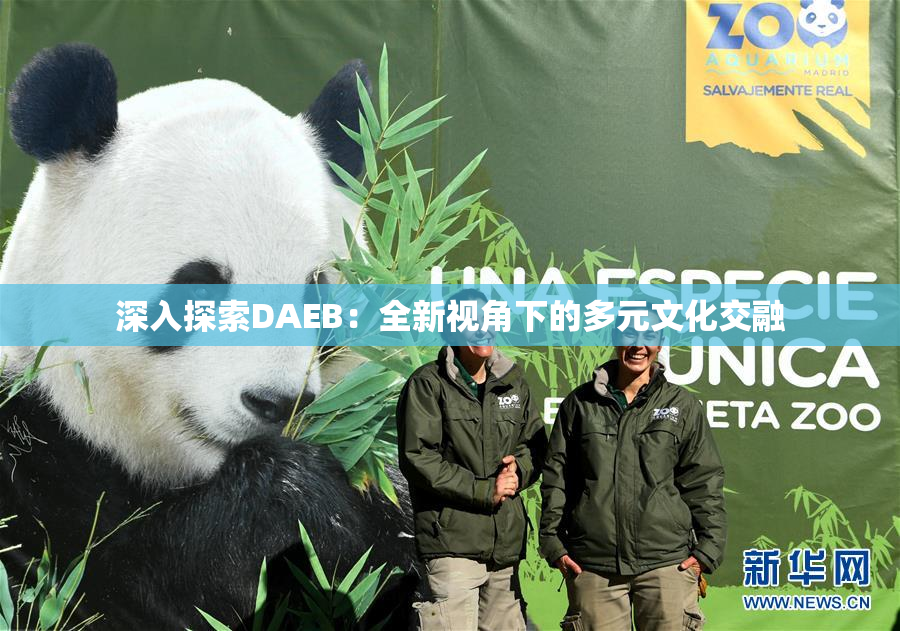 深入探索DAEB：全新视角下的多元文化交融