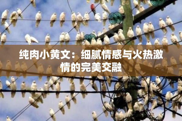 纯肉小黄文：细腻情感与火热激情的完美交融