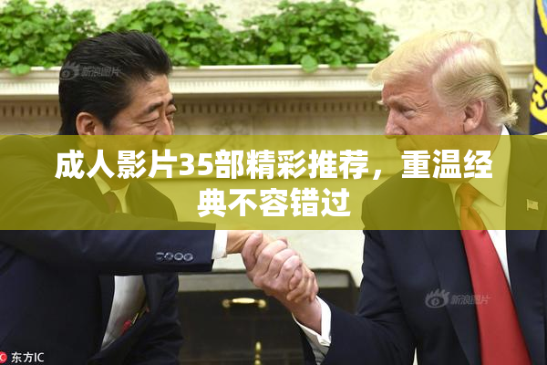 成人影片35部精彩推荐，重温经典不容错过