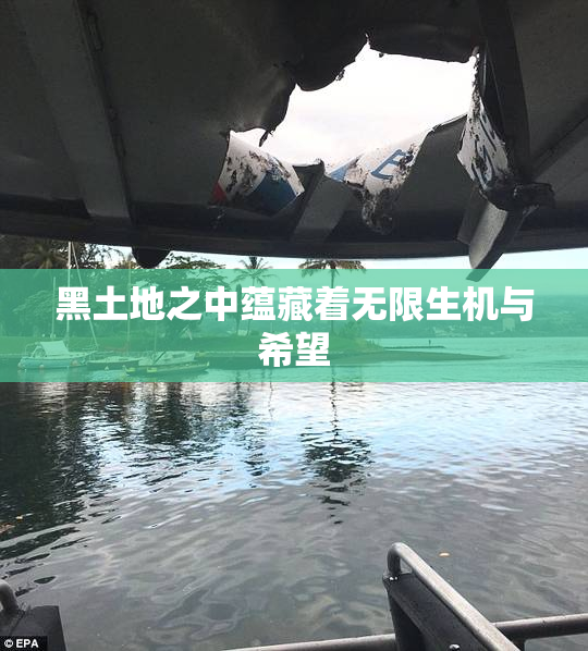 黑土地之中蕴藏着无限生机与希望