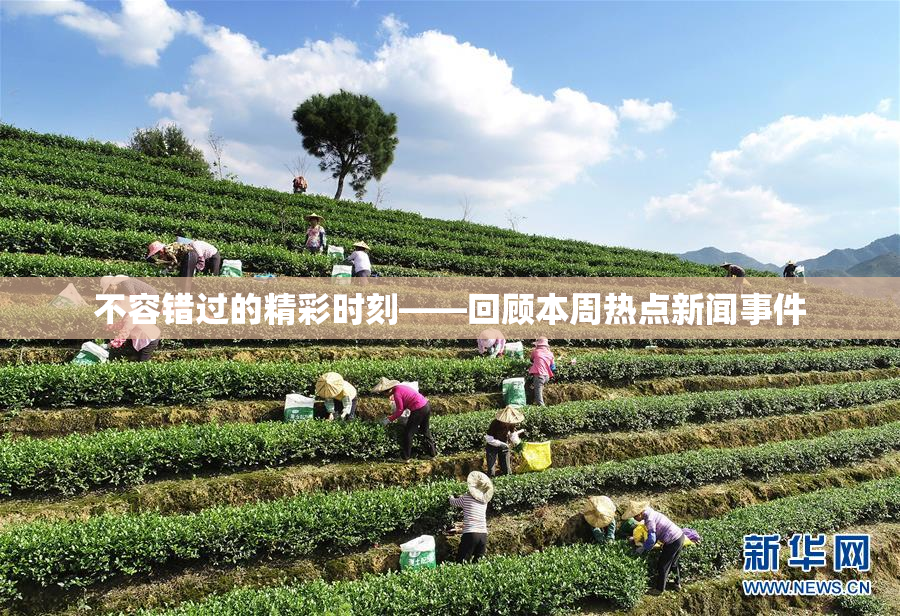 不容错过的精彩时刻——回顾本周热点新闻事件