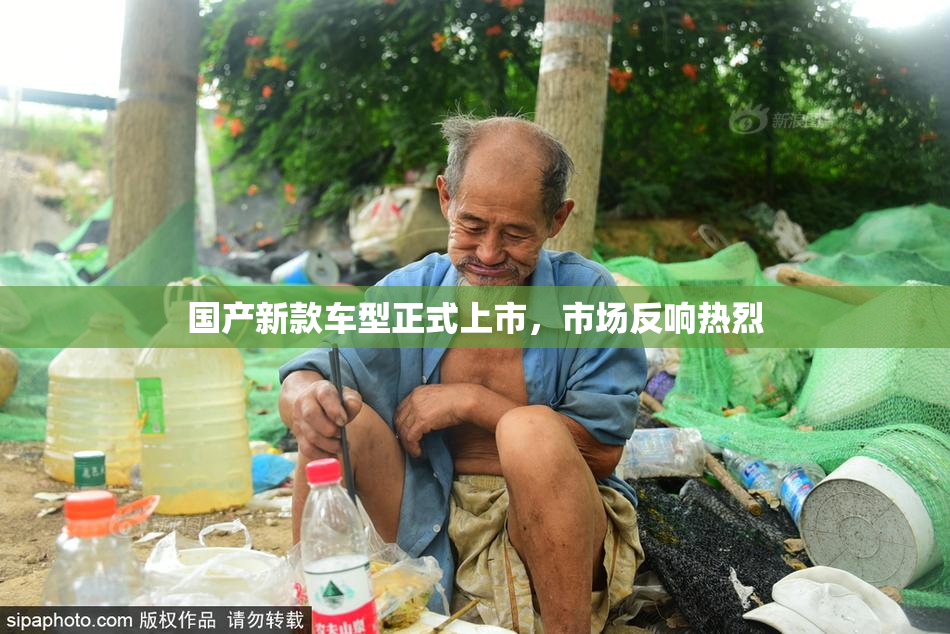 国产新款车型正式上市，市场反响热烈