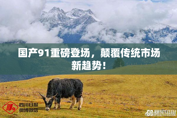 国产91重磅登场，颠覆传统市场新趋势！