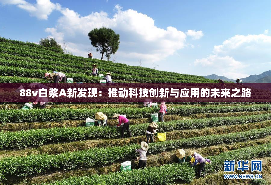 88v白浆A新发现：推动科技创新与应用的未来之路