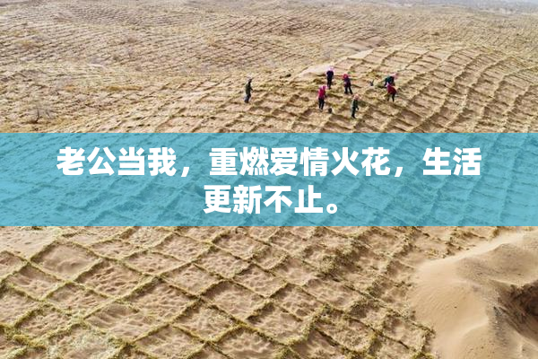 老公当我，重燃爱情火花，生活更新不止。
