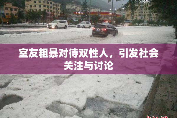 室友粗暴对待双性人，引发社会关注与讨论