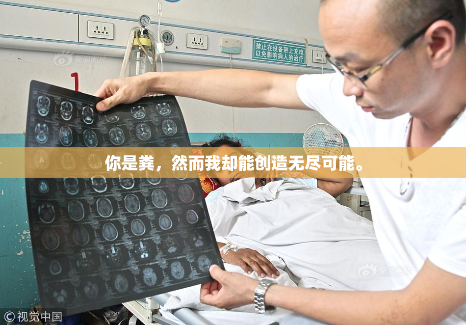 你是粪，然而我却能创造无尽可能。