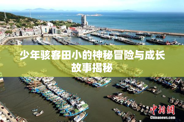 少年骇客田小的神秘冒险与成长故事揭秘