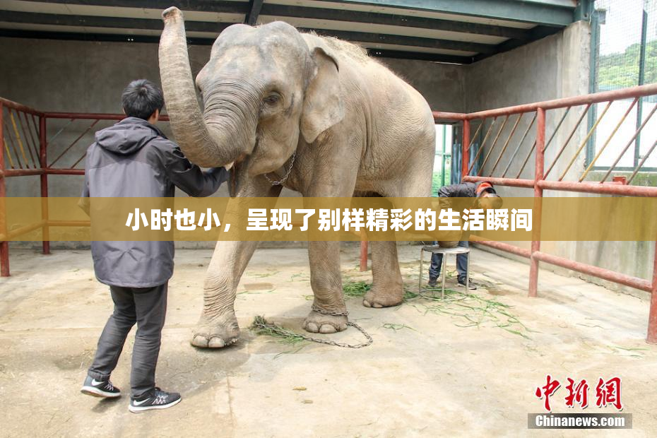 小时也小，呈现了别样精彩的生活瞬间