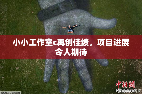 小小工作室c再创佳绩，项目进展令人期待