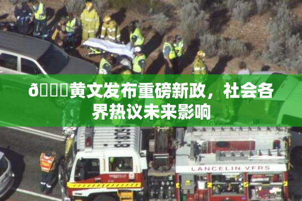 🔞黄文发布重磅新政，社会各界热议未来影响