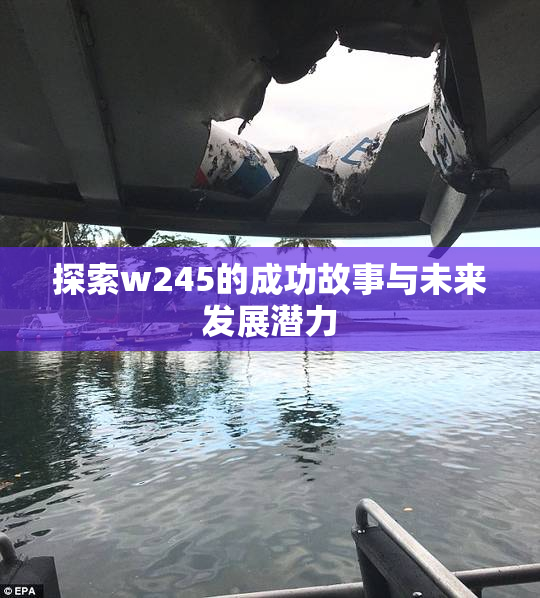 探索w245的成功故事与未来发展潜力