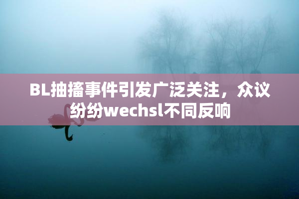 BL抽搐事件引发广泛关注，众议纷纷wechsl不同反响