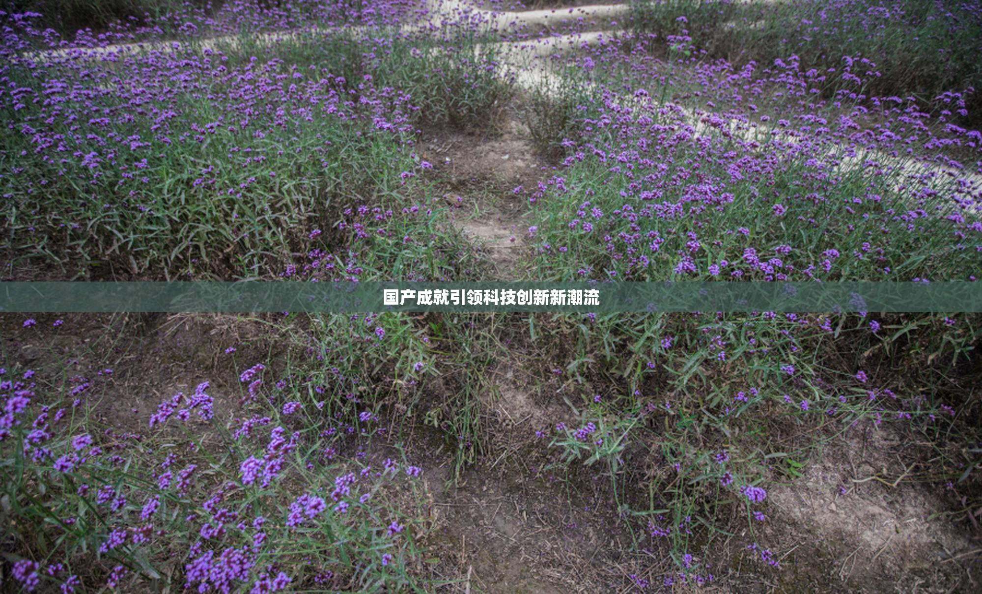 国产成就引领科技创新新潮流