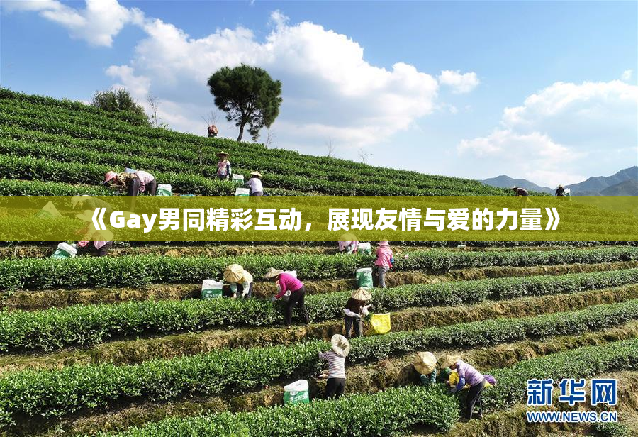 《Gay男同精彩互动，展现友情与爱的力量》