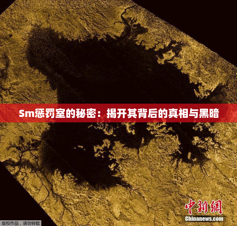 Sm惩罚室的秘密：揭开其背后的真相与黑暗