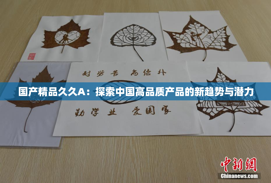 国产精品久久A：探索中国高品质产品的新趋势与潜力