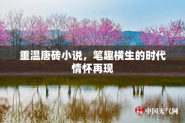 重温唐砖小说，笔趣横生的时代情怀再现