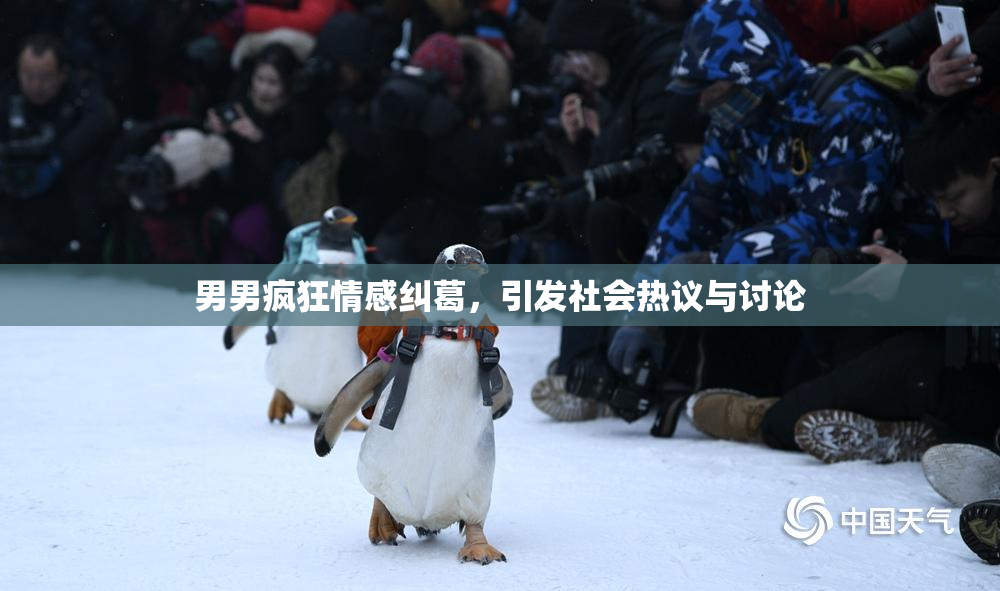 男男疯狂情感纠葛，引发社会热议与讨论