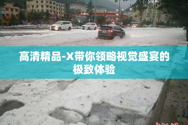 高清精品-X带你领略视觉盛宴的极致体验