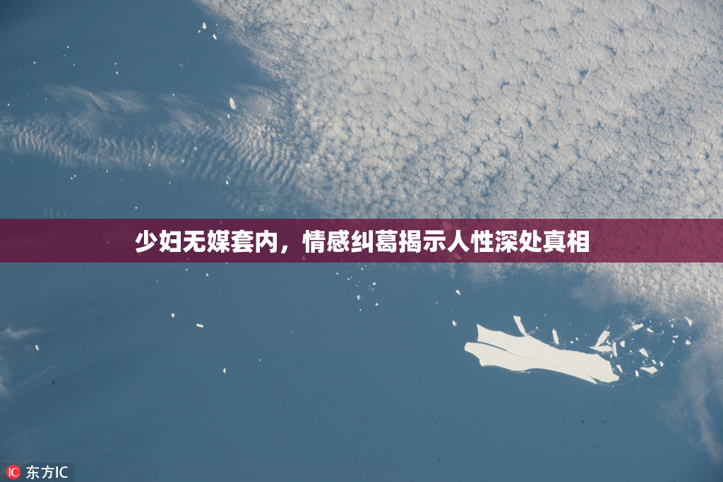 少妇无媒套内，情感纠葛揭示人性深处真相