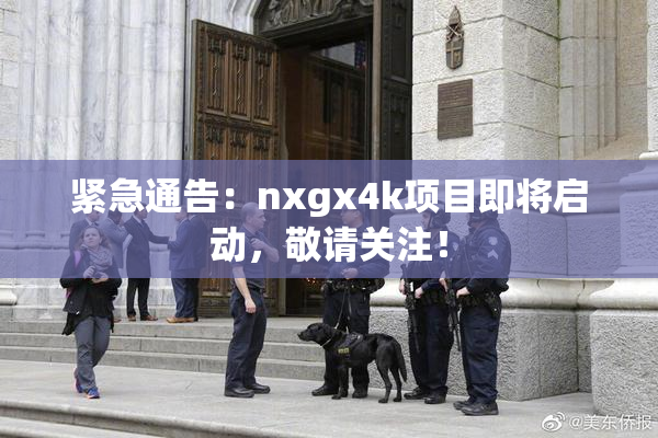 紧急通告：nxgx4k项目即将启动，敬请关注！