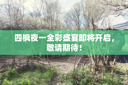 四枫夜一全彩盛宴即将开启，敬请期待！