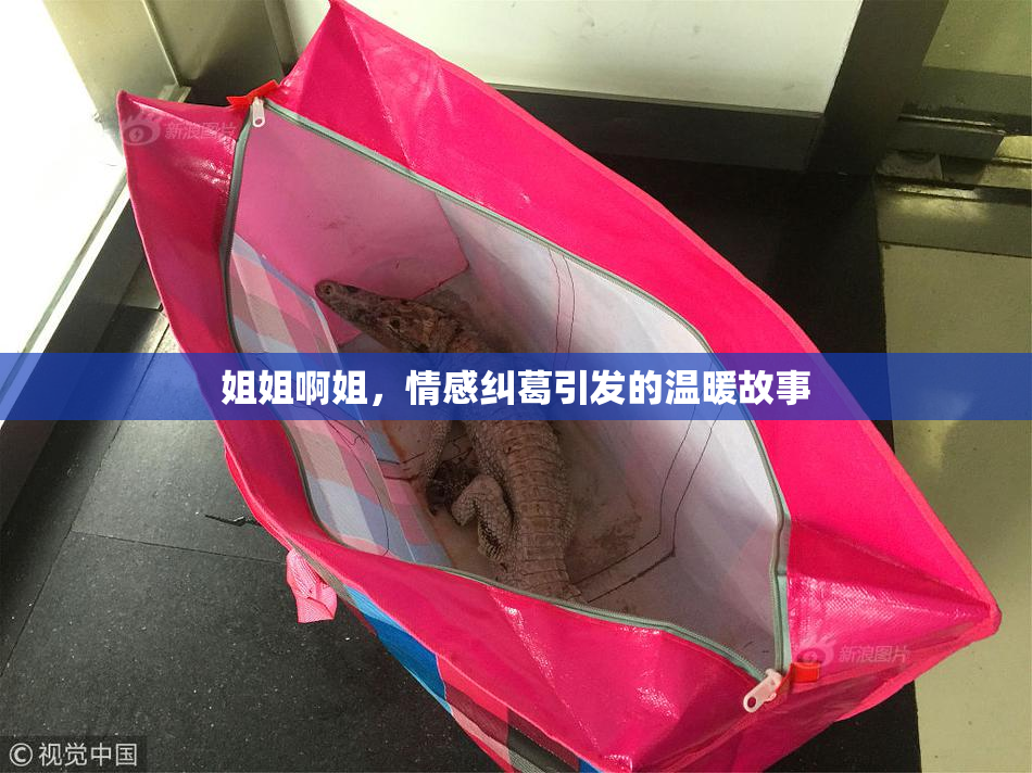 姐姐啊姐，情感纠葛引发的温暖故事